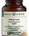 Ginkgo Forte, 60 Tablets
