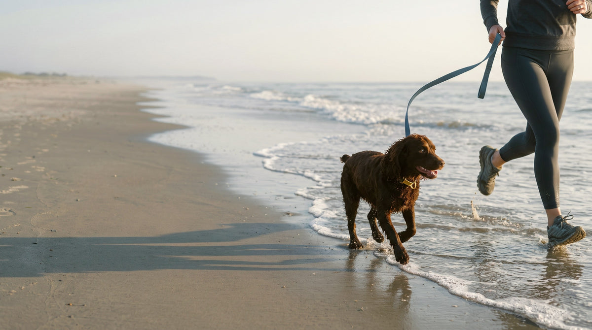 Pet Immune Support
